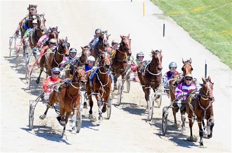 fixed odds harness racing|Harness Racing Tips .